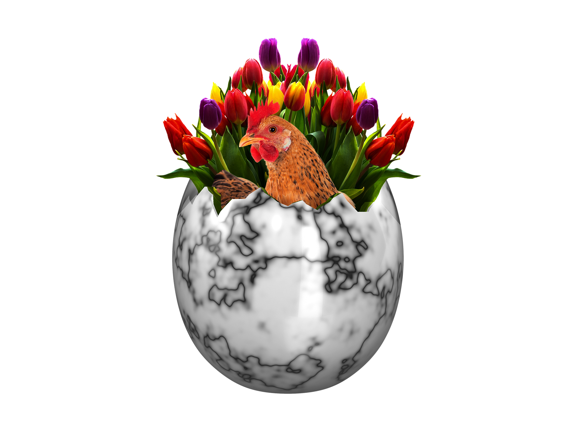 A marble-effect egg, with the top cracked off. Protruding from the top, appearing to be inside the egg, are a cockerel and a bouquet of tulips.