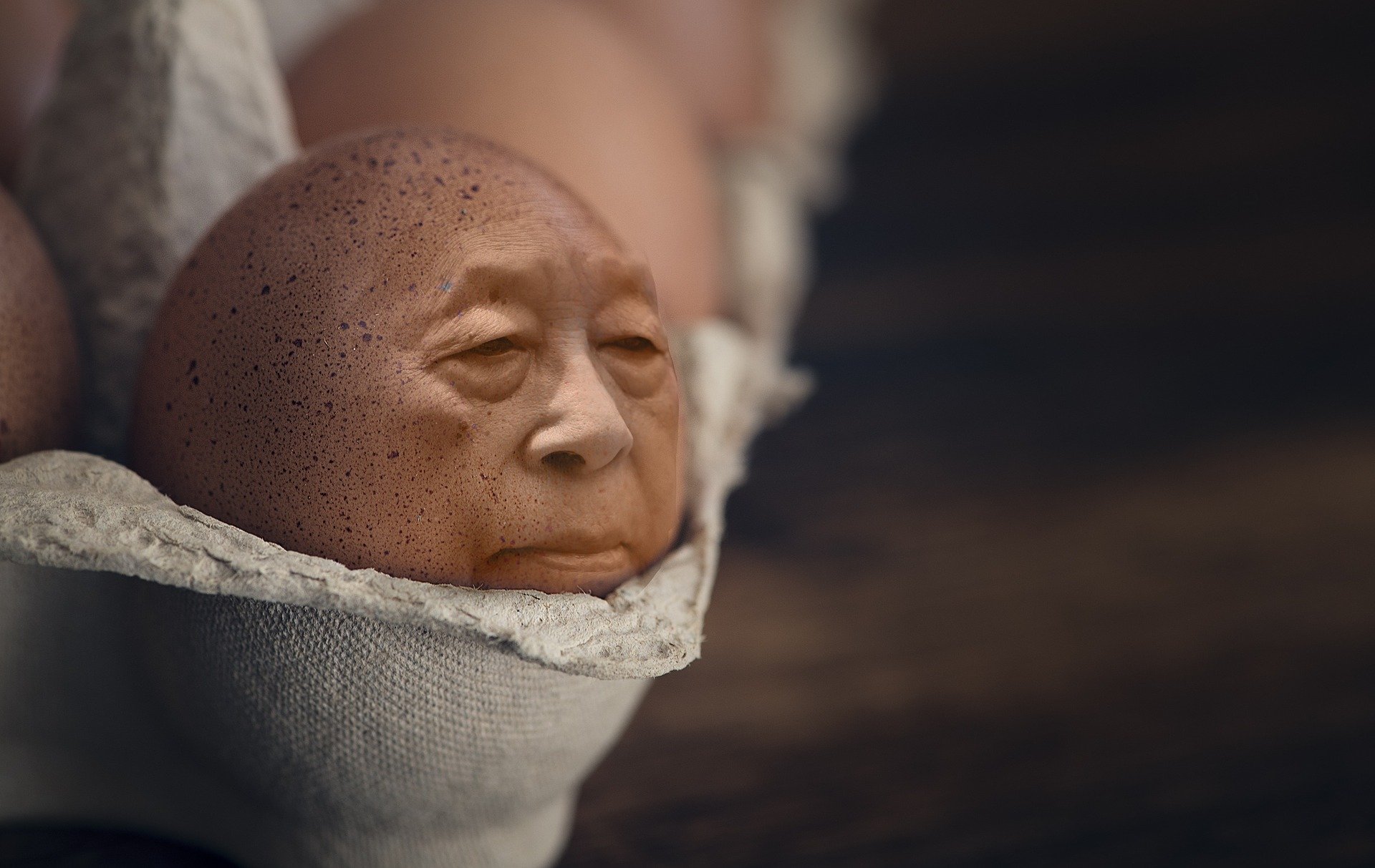 A close-up on one egg in an eggbox, which has a man's face.