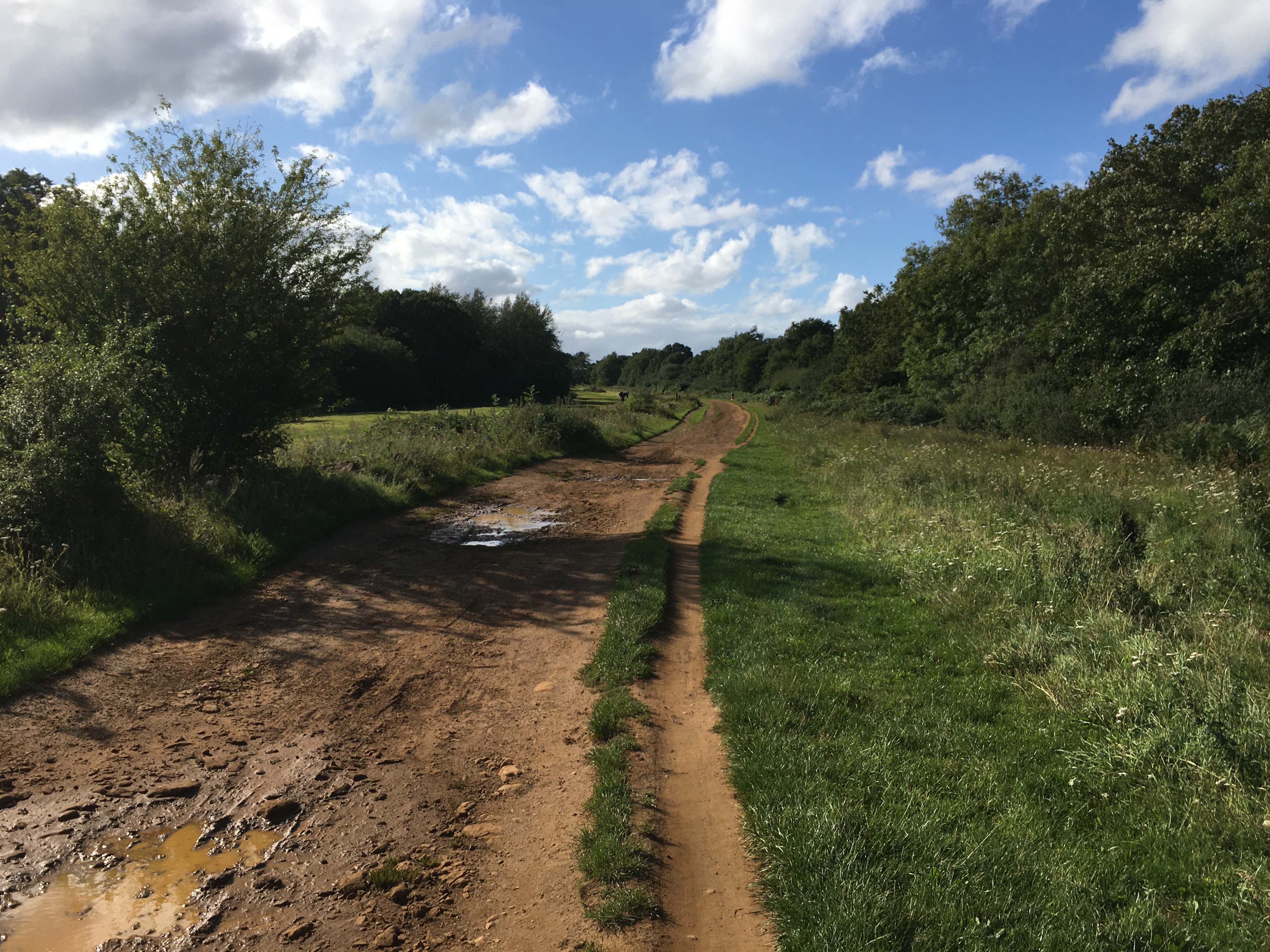 A dirt road leads away from the camera between two patches of grass: there's vegetation lining the left-hand side, and a small path on the right. On either side are wooded areas. The sky is blue, with fluffy white clouds.