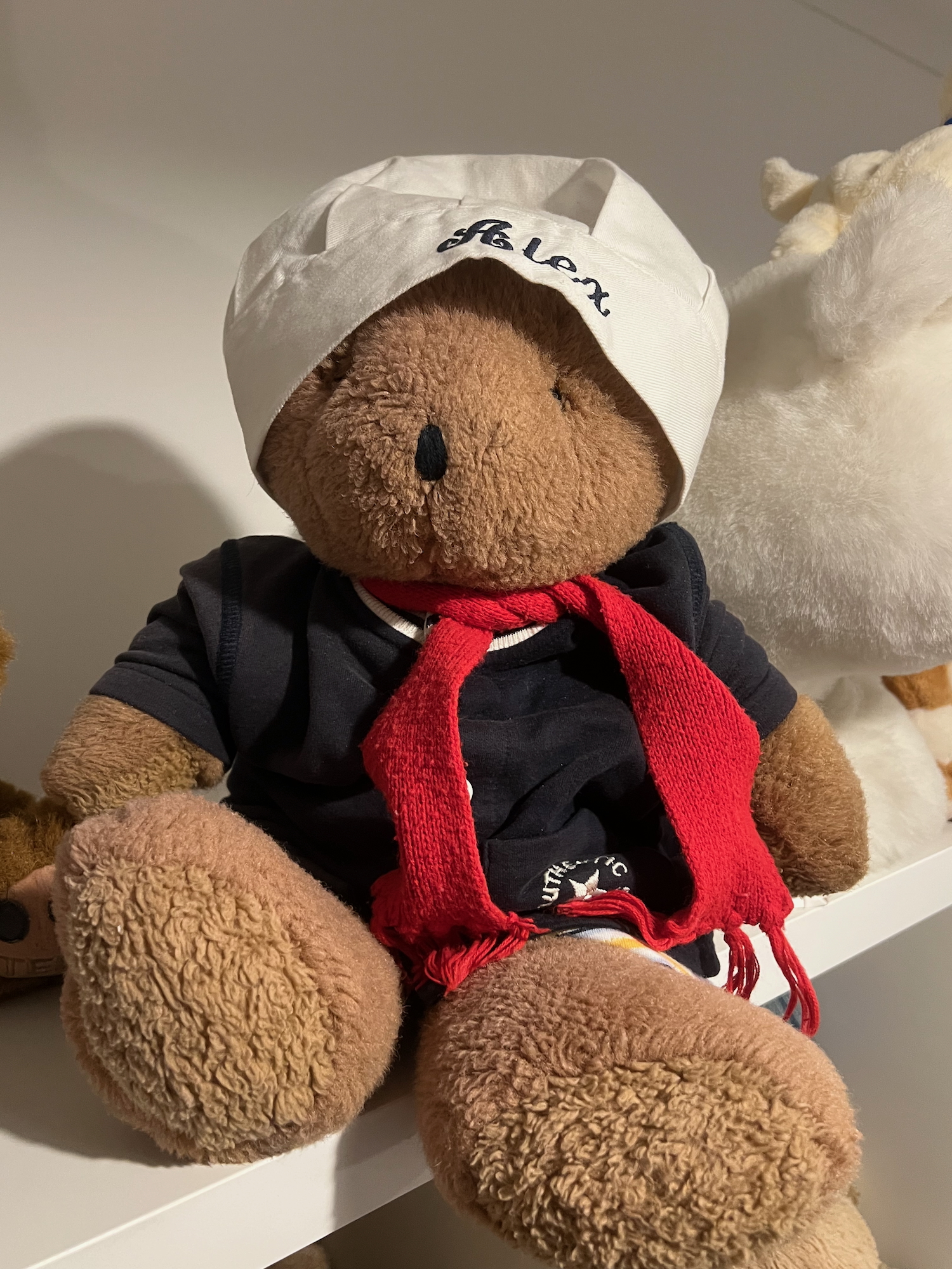 A teddy bear sitting on top of a shelving unit, with other teddy bears in the background. The main teddy bear is brown and medium-large, with fur partly covering his eyes. He is wearing a white chef's hat with "Alex" embroidered on the front in blue script typeface. He is wearing a blue top, with "AUTHENTIC" embroidered near the bottom-right around a star, and a red scarf with tassels.