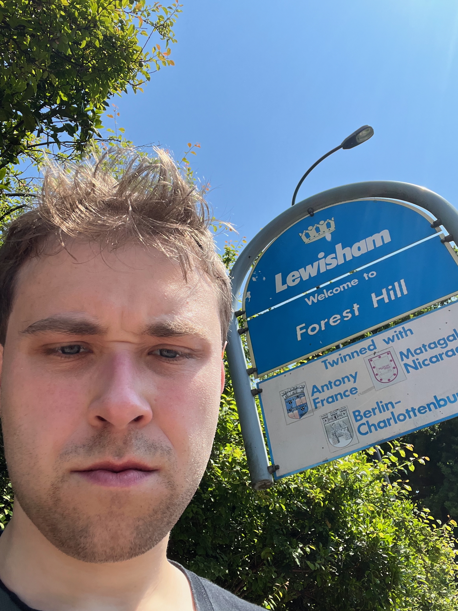 The blog's author scowling at the camera, hair a mess, in a selfie next to a sign reading "Lewisham. Welcome to Forest Hill. Twinned with: Antony, France; Matagal[pa], Nicaragua; Berlin–Charlottenbu[rg]." The word Lewisham has the borough logo above it, a yellow crown where the spikes are formed by people with outstretched arms, while the twin towns show their respective coats of arms to the left of their names. The sign is made up of three panels, the top two blue with white writing, and the third reversed. The sign has a pole off-camera to the right, which arches over the sign and down the other side, finishing hovering above the ground, with the signs shaped to match the curved pole. The background shows the top of a lampost, green foliage, and a relentlessly blue sky.